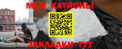 прущие грибы Дубна