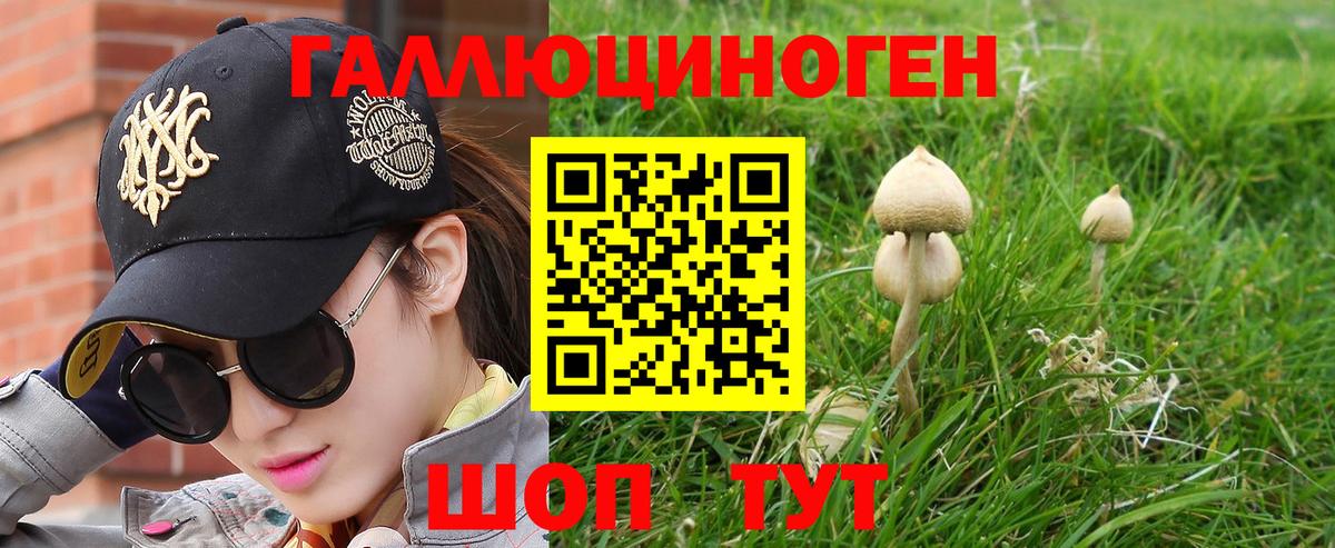 Псилоцибиновые грибы мицелий Мценск